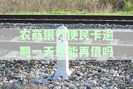 农商银行便民卡逾期一天还款会有什么影响？还能再借吗？安全性如何？