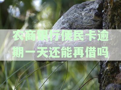 农商便民卡逾期冻结解决方案：二天逾期如何处理？解冻流程及影响分析