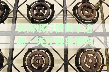 农商银行便民卡逾期一天还能再借吗