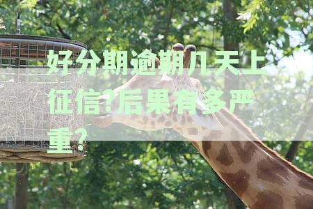 逾期10几天后可能产生的后果及信用影响