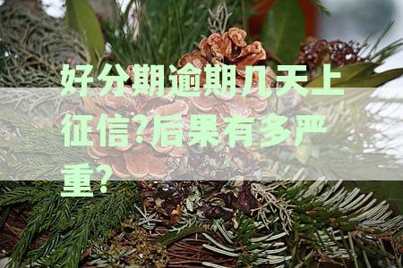 分期付款逾期的潜在影响：你准备好面对什么了吗？