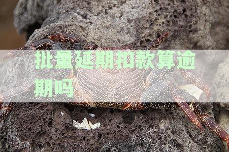 批量扣款逾期未还款的后果及解决办法