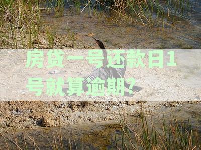 关于房贷1号还款，当天存钱进去是否算逾期的解答