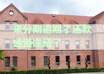 新「分期订单出现问题：显示被冻结，如何解决还款困境？」