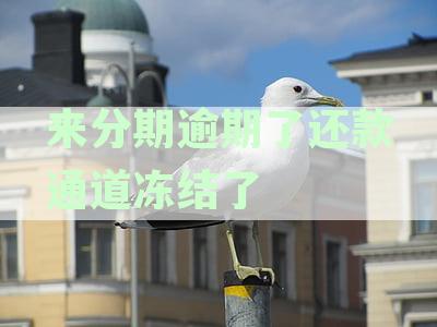 分期付款被冻结怎么办？解决方法全面解析，让您不再担忧资金问题！