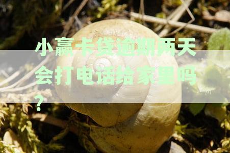 小赢卡贷逾期两天是否会主动联系家人？真相揭秘！