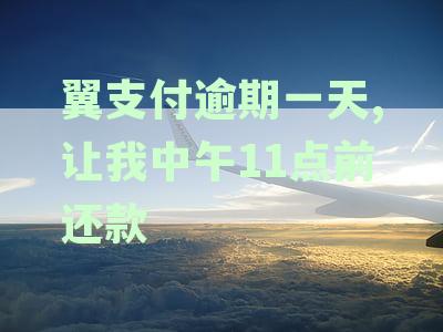翼支付逾期一天的还款影响：征信、后果与应对策略