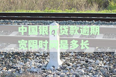 中国银行贷款逾期对征信记录的影响：时间、后果与补救措
