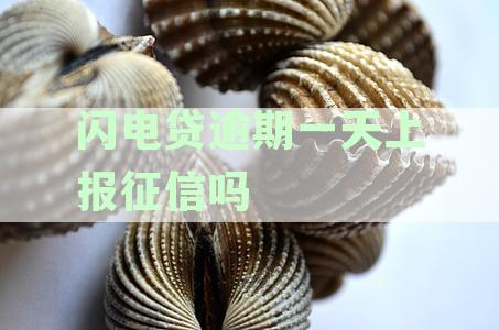 闪电贷逾期一天上报征信吗会怎么样？如何应对闪电贷逾期一天的情况？