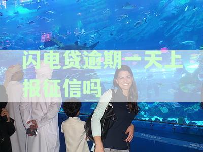 闪电贷逾期1天：上征信、影响贷款买房及还款处理全解析
