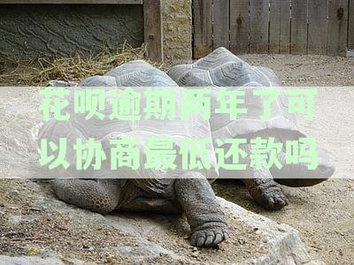 花呗逾期两年后仍可协商分期还款的处理方法是什么？