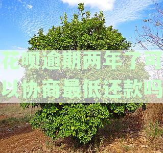 花呗逾期两年还清后，是否可以继续使用？以及逾期还款的后果与解冻方法