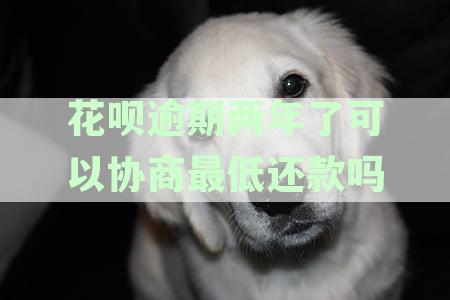 花呗逾期两年多可以分期还款吗？还会产生利息吗？