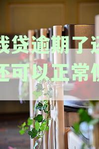 逾期后的你我贷借款资格是否受限？重新申请借款需要注意什么？