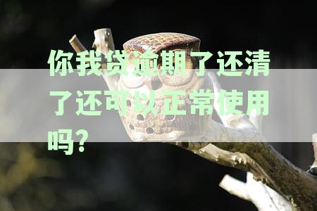 你我贷逾期30天后还了，结果要我一次性还完其他：两天会要求还清尾款吗？