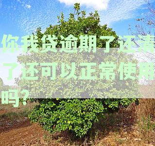你我贷逾期还款还到催收账上，隔了3年说我欠款没有结清