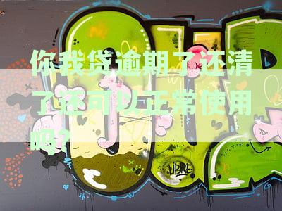 你我贷逾期了还清了还可以正常使用吗?