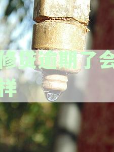 装修贷款逾期三个月的后果及解决方法，如何避免逾期？
