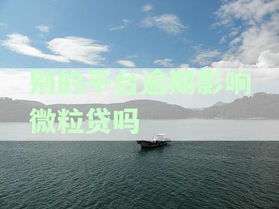 别的平台借款会影响微粒贷吗？安全吗？