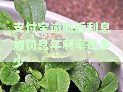 支付宝逾期利息和罚息详细计算：年利率是多少？如何计算？