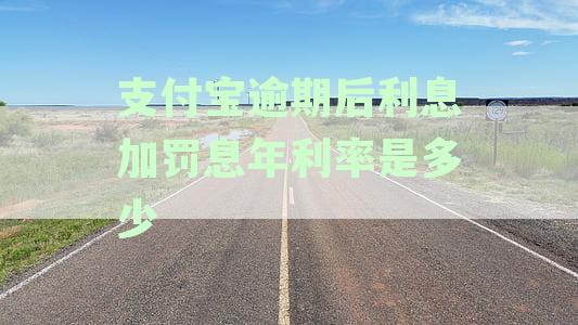 从支付宝逾期罚息10000元，我们可以了解到一个月的利息是多少？