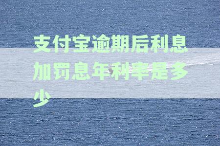 支付宝逾期后利息加罚息年利率是多少