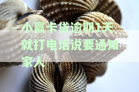 小赢卡贷逾期一天，收到催收电话告知家人，如何应对与解决？