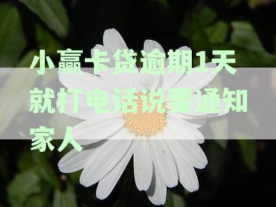 小赢卡贷逾期还款引发的困扰：通讯录被曝光，朋友接到催收电话