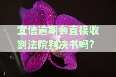 宜信逾期后，将会面临哪些法律后果？法院判决书如何送达？