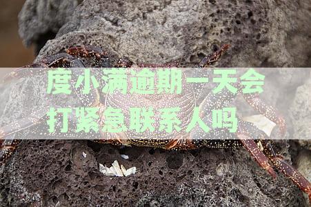 度小满逾期1天：如何处理？可能的影响和解决方案