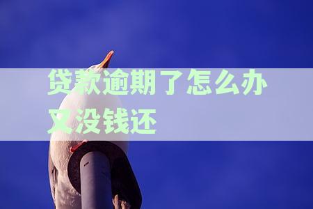 贷款逾期无力偿还的解决策略与建议