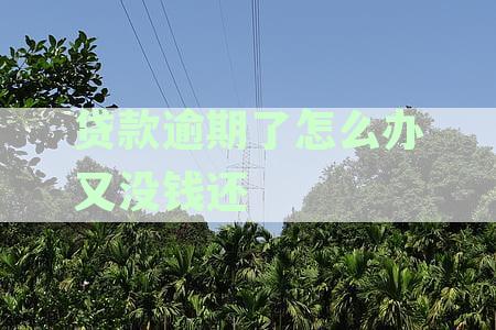 贷款逾期了怎么办又没钱还