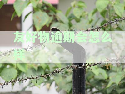 友好物征信：如何查询、需要提供什么材料以及可能的影响？