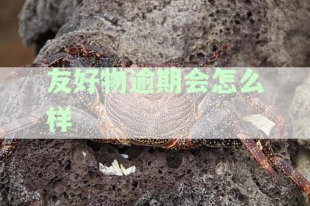 租机好物友好审核：通过时间预测与实际经验分享