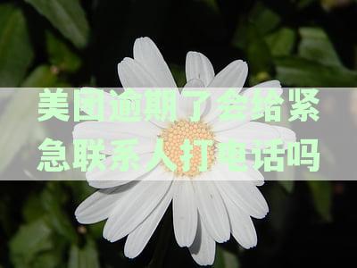 美团逾期后，借钱方是否会联系不是紧急联系人的人？