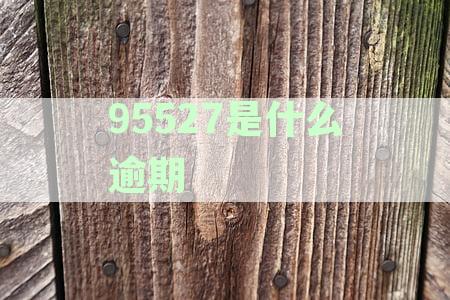 95527: 关联的网贷平台有哪些？如何申请和查询余额？