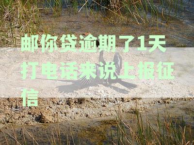 邮你贷逾期了1天打电话来说上报征信