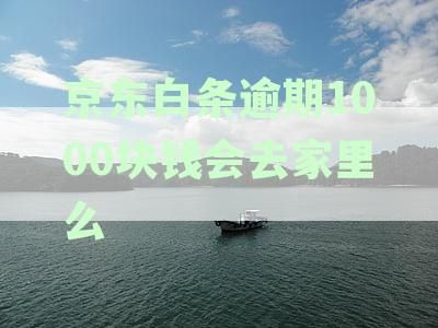 逾期还款1000多元的后果与解决办法，如何避免逾期影响信用？