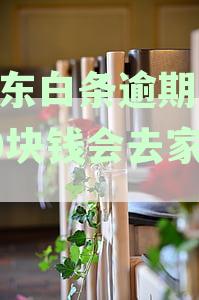 逾期还款一千元的后果及可能的法律诉讼问题解答