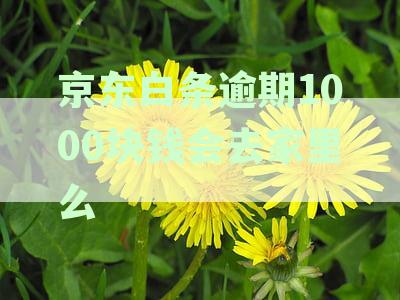 逾期1500一年多，会上门催收吗？怎么处理？