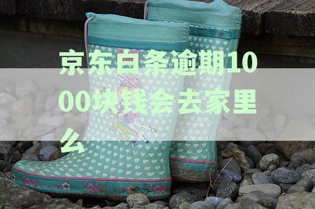 逾期1000块钱会去家里么