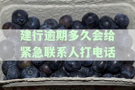 建设银行信用卡逾期后多久会联系紧急联系人进行还款通知？