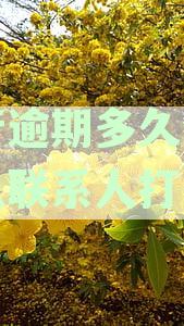 建设银行逾期多久会打电话催收：家人也会接到电话吗？
