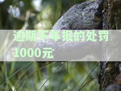 逾期不年报企业处罚决定书：1000元处罚怎么写