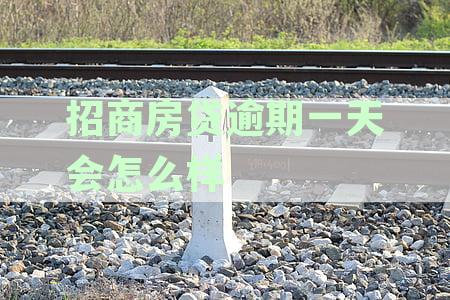 招商银行房贷逾期后的起诉时效：多长时间内会被起诉？如何避免逾期被起诉？