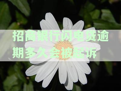 招商银行闪电贷逾期还款期限及全额还款要求解析，解答用户疑虑