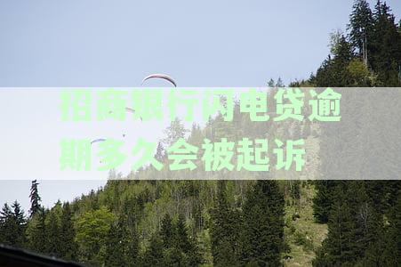 招商银行闪电贷逾期怎么办？秒扣到账后的处理方法和可能的后果