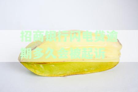 招商银行闪电贷逾期多久会被起诉