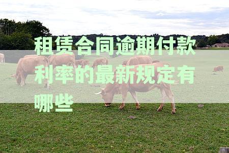 租赁合同逾期付款利率的最新规定解析：详细条款与应对策略