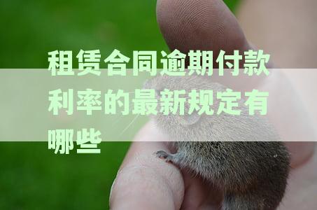 租赁合同纠纷中逾期付款利息的计算与解决方法：全面解析及实际案例分析
